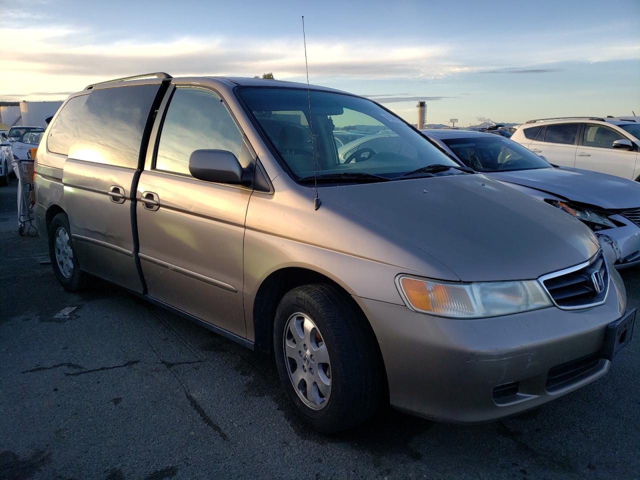 2004 Honda Odyssey Ex VIN: 5FNRL188X4B131944 Lot: 81605923