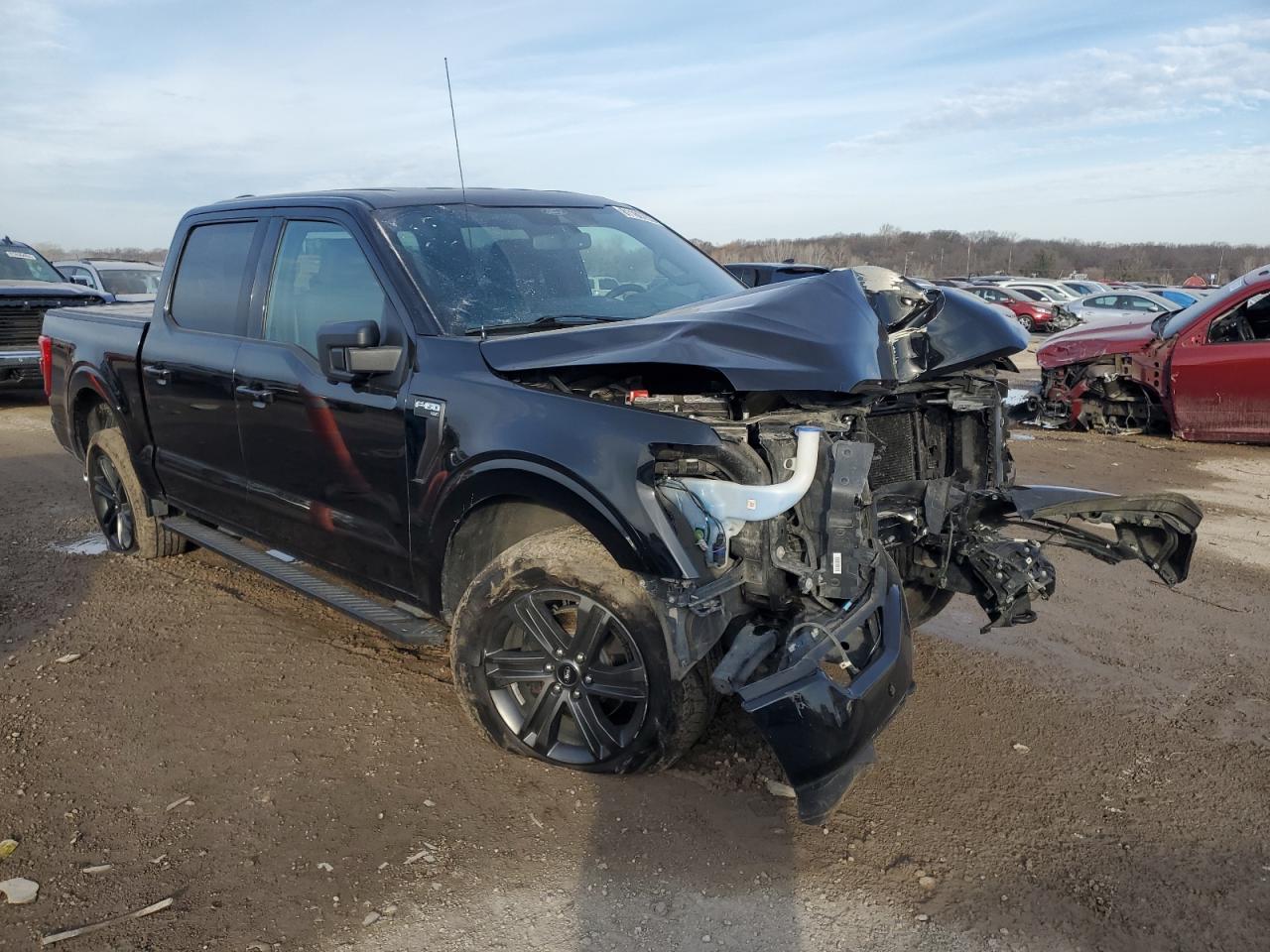 2021 Ford F150 Supercrew VIN: 1FTFW1E52MFA69763 Lot: 81186753