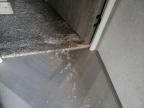 2021 Wild Heritage for Sale in Greenwood, NE - Minor Dent/Scratches