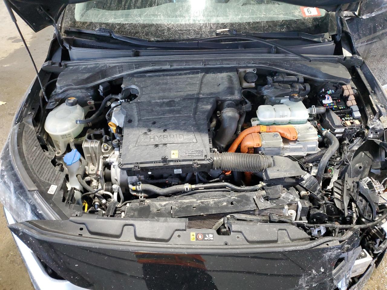 KMHC05LC2LU206431 HYUNDAI IONIQ 2020