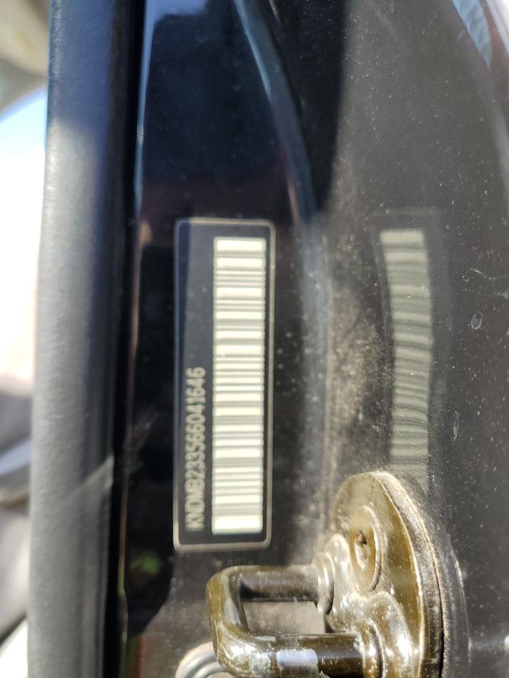 2006 Kia Sedona Ex VIN: KNDMB233566041646 Lot: 86565104