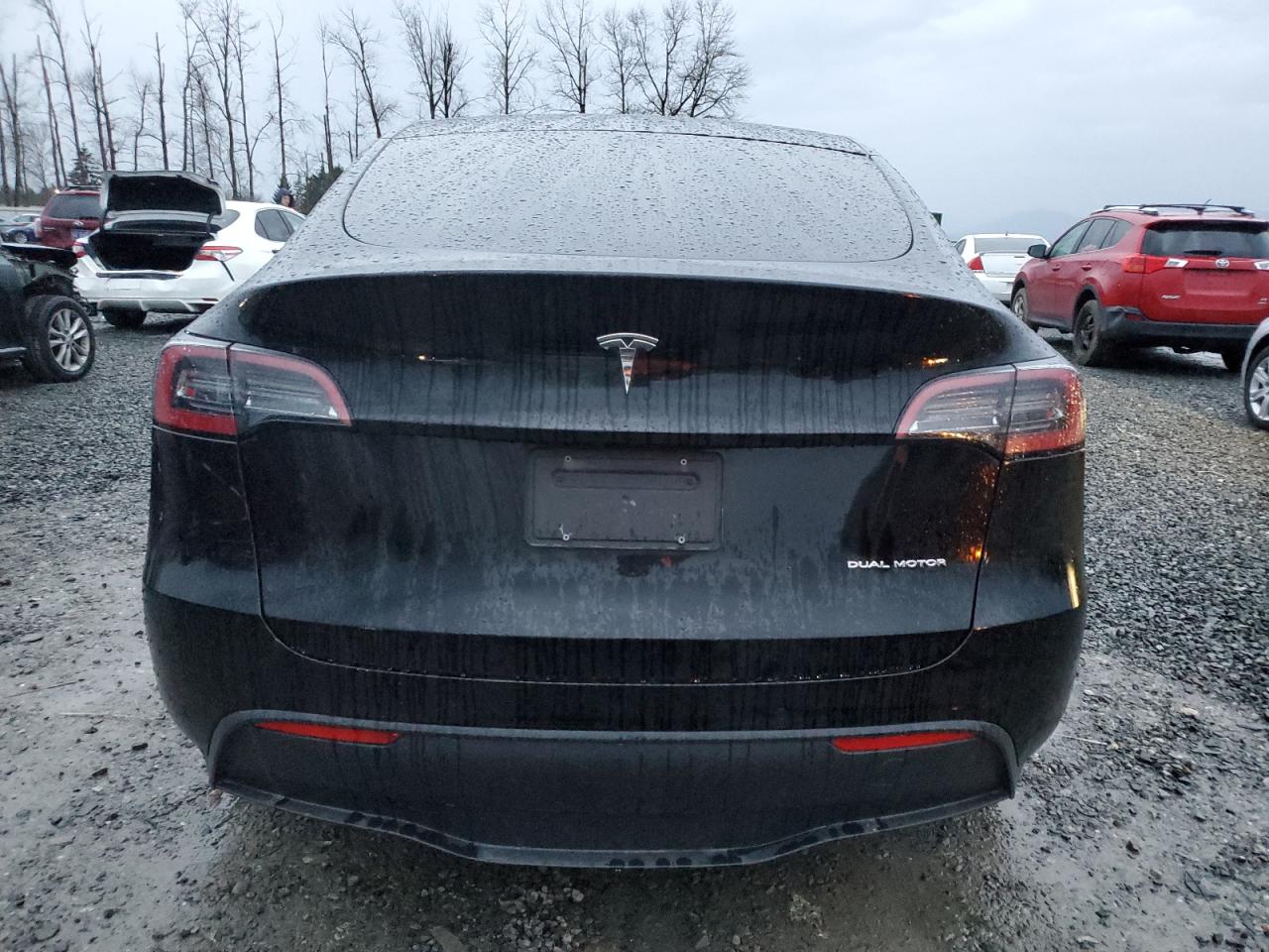 2023 Tesla Model Y VIN: 7SAYGDEE6PF585546 Lot: 84715794