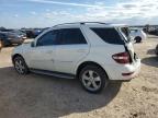 2010 Mercedes-Benz Ml 350 на продаже в San Antonio, TX - Rear End