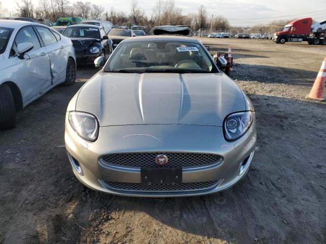  JAGUAR XK 2014 Цвет загара