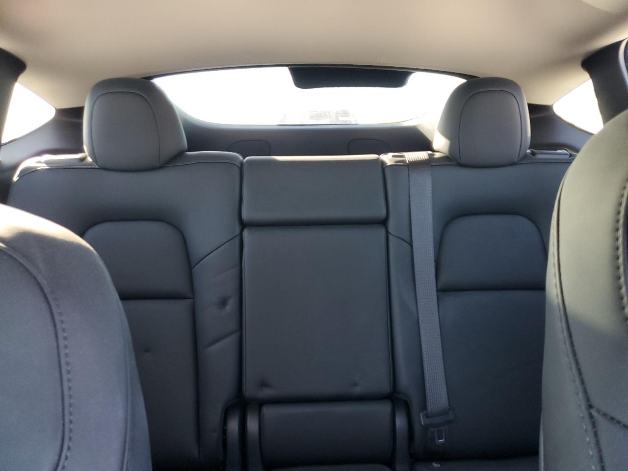 2023 Tesla Model Y VIN: 7SAYGDEE2PF888520 Lot: 80827634