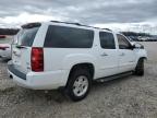 2007 Chevrolet Suburban C1500 за продажба в Memphis, TN - Front End