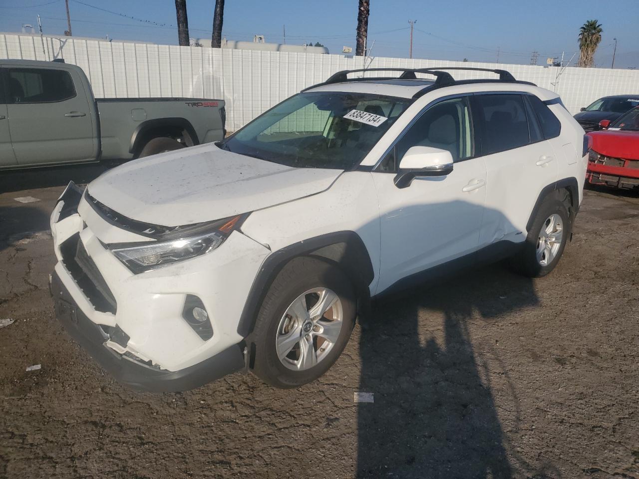 2019 TOYOTA RAV4