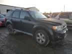 2010 Ford Escape Limited იყიდება Windsor-ში, NJ - Front End