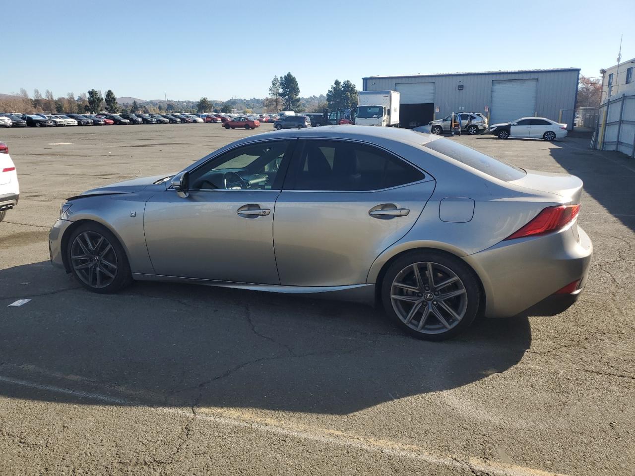 2019 Lexus IS - Image 2