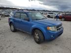 2011 Ford Escape Xlt للبيع في Madisonville، TN - Rear End