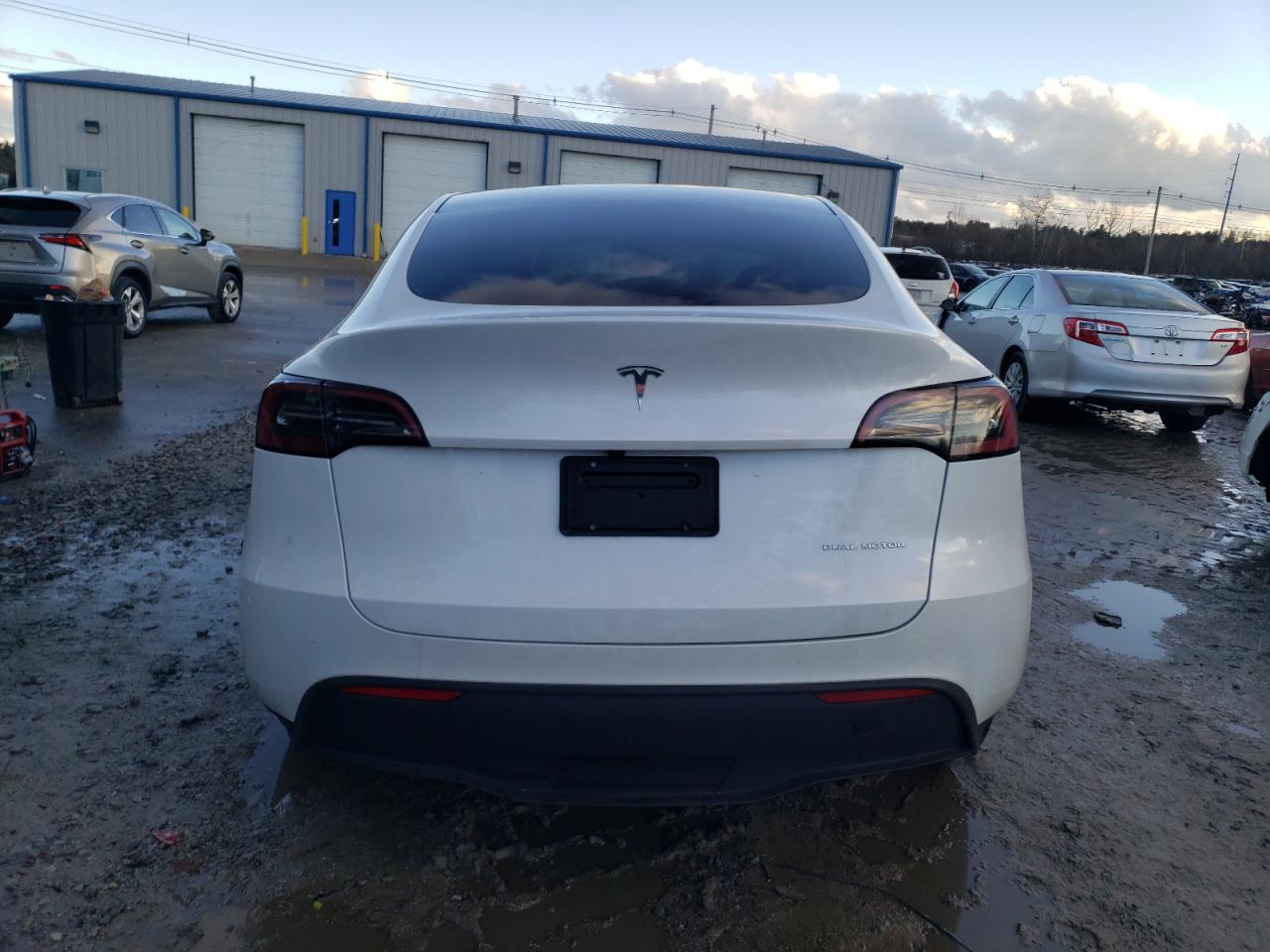 VIN 7SAYGDEE7PA141881 2023 TESLA MODEL Y no.6