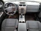 2011 Ford Escape Xlt for Sale in Woodhaven, MI - Front End
