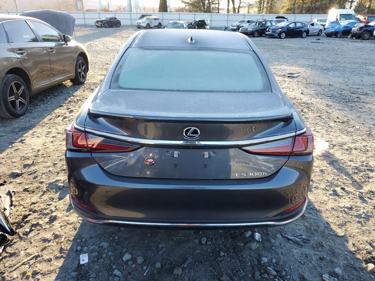 2024 Lexus ES - Image 6