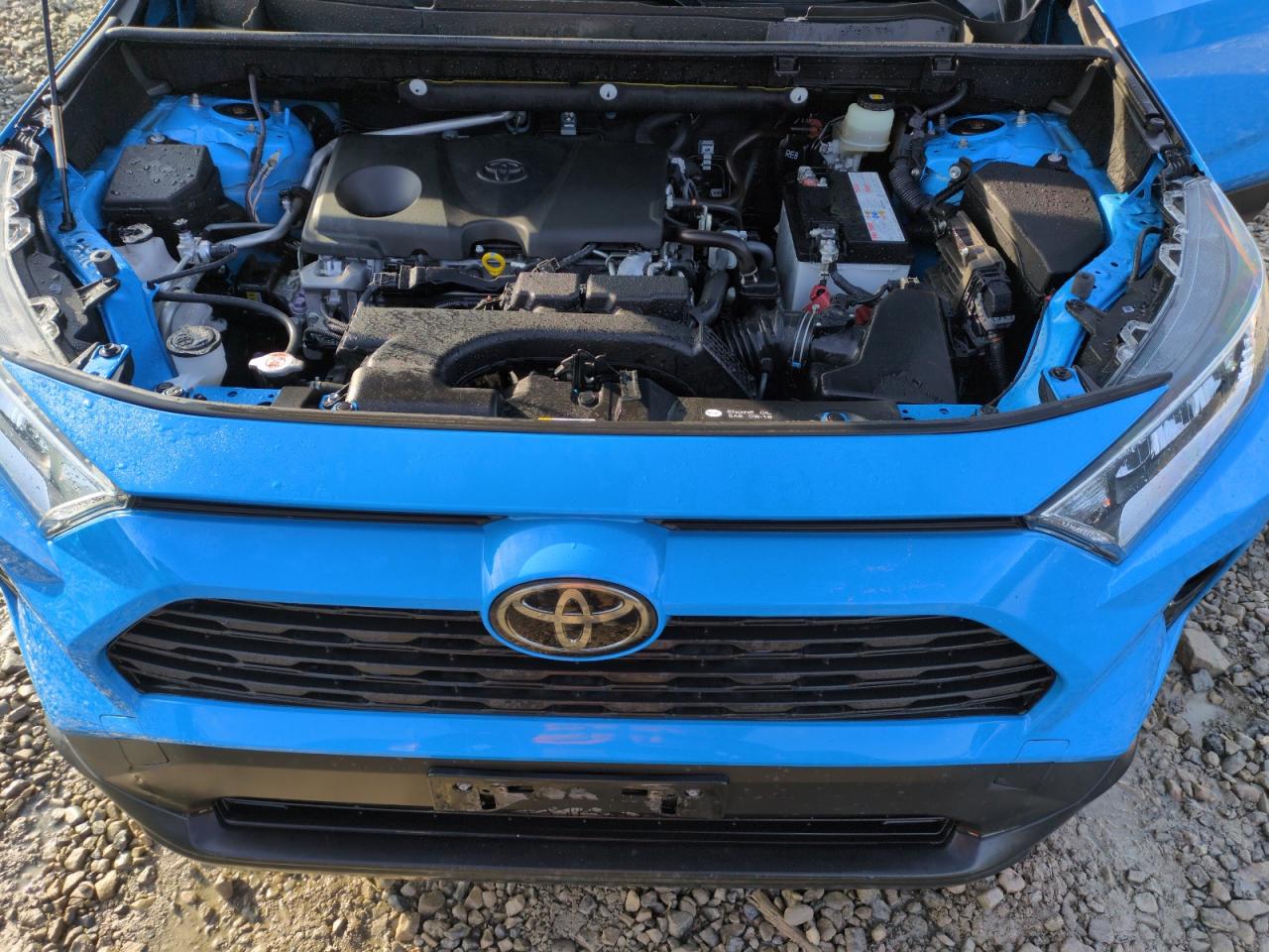 VIN JTMP1RFVXKD500116 2019 TOYOTA RAV4 no.11