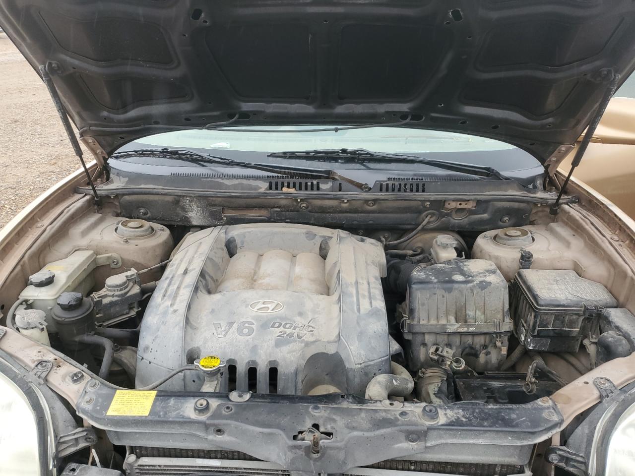 2004 Hyundai Santa Fe Gls VIN: KM8SC13D64U638588 Lot: 83080394