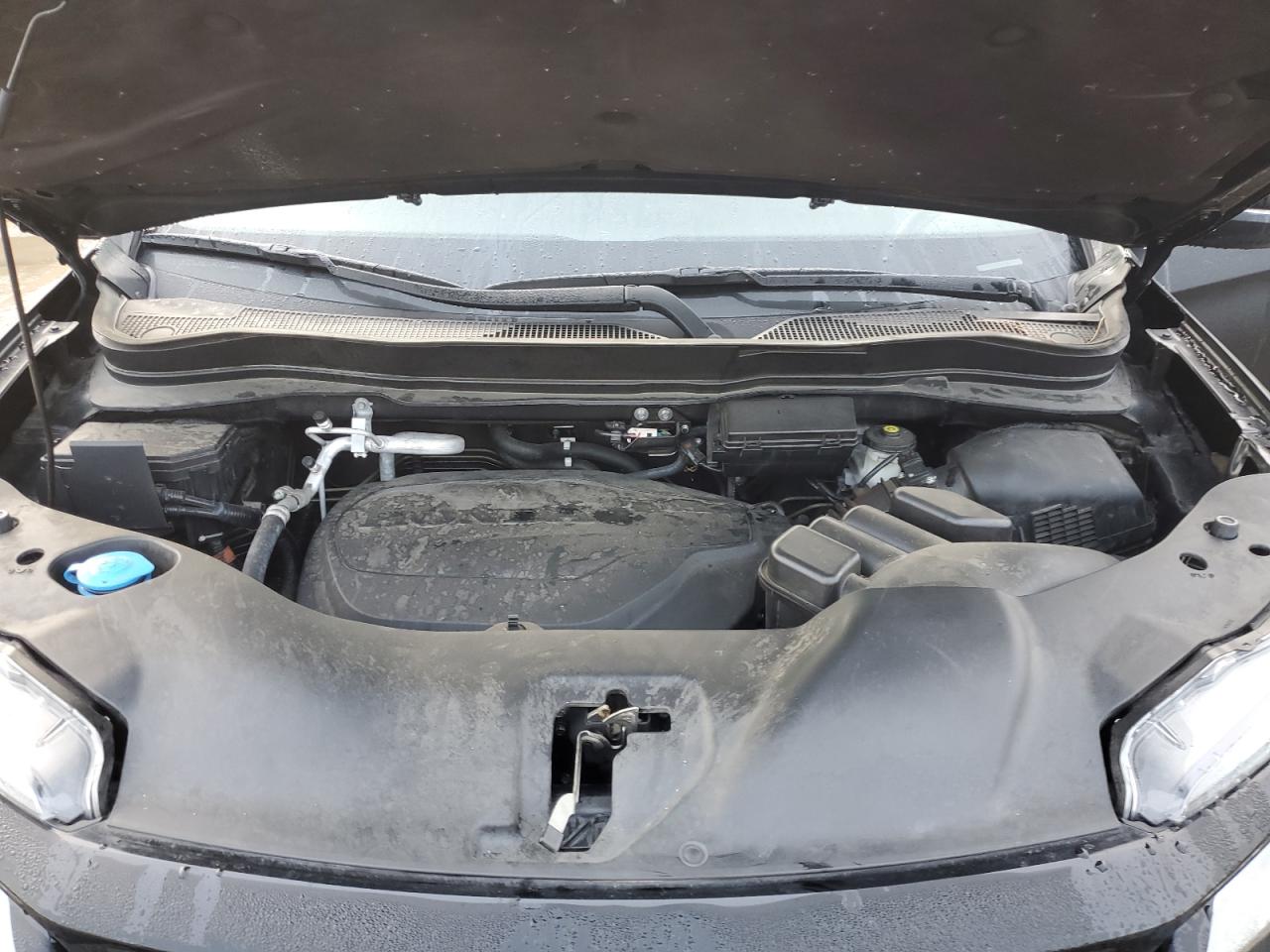 5FNYF7H96MB011542 HONDA PASSPORT 2021