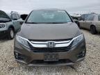 2019 Honda Odyssey Exl на продаже в Temple, TX - Rear End