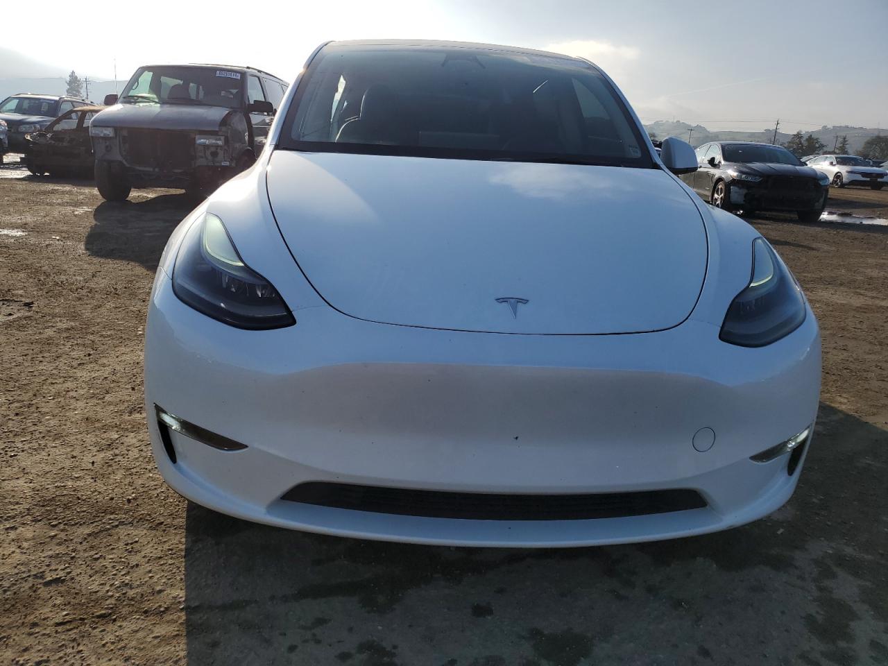 2023 Tesla Model Y VIN: 7SAYGDEE6PF687056 Lot: 85094204