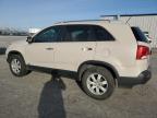 2011 Kia Sorento Base for Sale in Tulsa, OK - Rear End