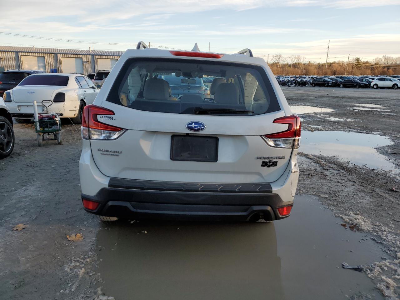 2019 Subaru Forester VIN: JF2SKACC2KH503436 Lot: 83373914