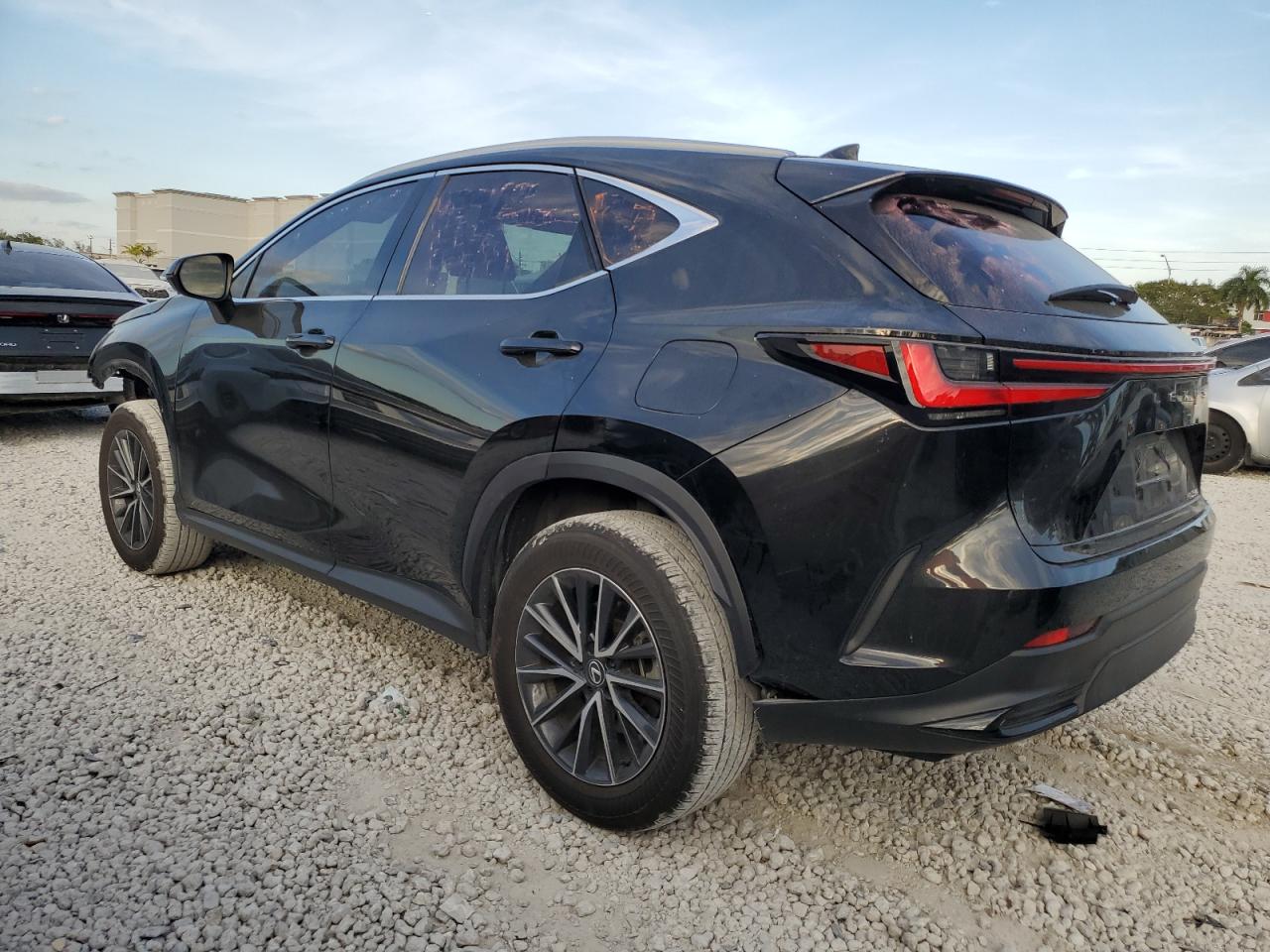 VIN 2T2ADCAZ2RC008980 2024 LEXUS NX 250 BAS no.2