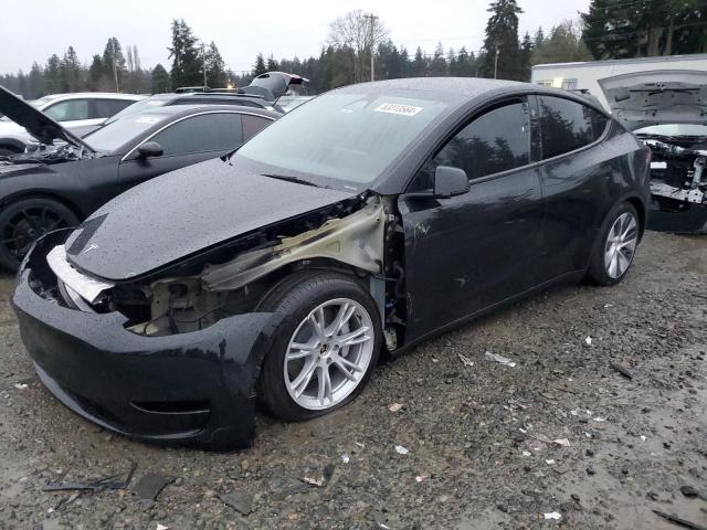 2024 TESLA MODEL Y, VIN: 7SAYGAEE3RF982410