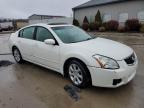 Louisville, KY에서 판매 중인 2008 Nissan Maxima Se - Front End