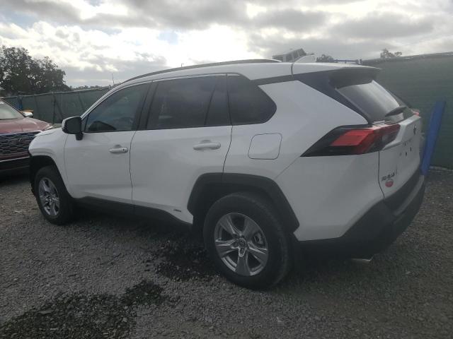  TOYOTA RAV4 2024 Белы