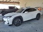 2021 Lexus Ux 250H за продажба в Homestead, FL - Minor Dent/Scratches