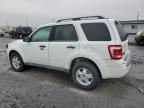 Airway Heights, WA에서 판매 중인 2011 Ford Escape Xlt - Front End