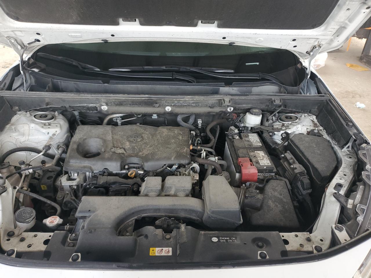 2T3C1RFV8PW254708 TOYOTA RAV4 2023