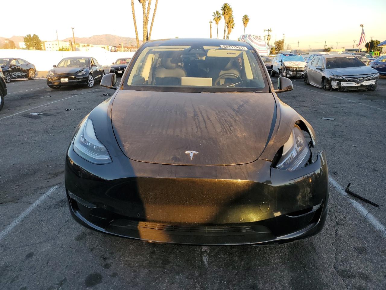 2020 Tesla Model Y VIN: 5YJYGDEE6LF059537 Lot: 85111954