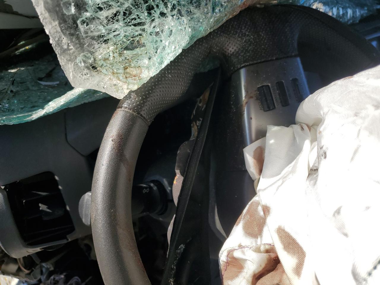 2006 Nissan Xterra Off Road VIN: 5N1AN08WX6C535273 Lot: 83338294