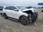 2019 Kia Sorento Ex للبيع في Memphis، TN - Front End