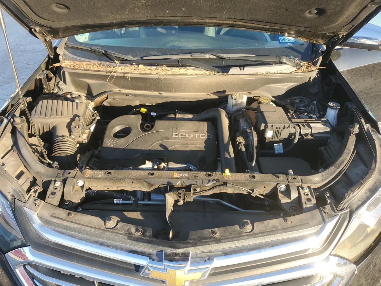 2GNAXNEV3K6298921 CHEVROLET EQUINOX 2019