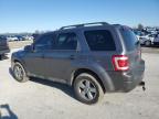 2009 Ford Escape Xlt en Venta en Sikeston, MO - Front End