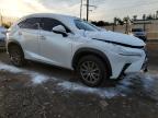 2019 Lexus Nx 300 Base en Venta en Chalfont, PA - Front End