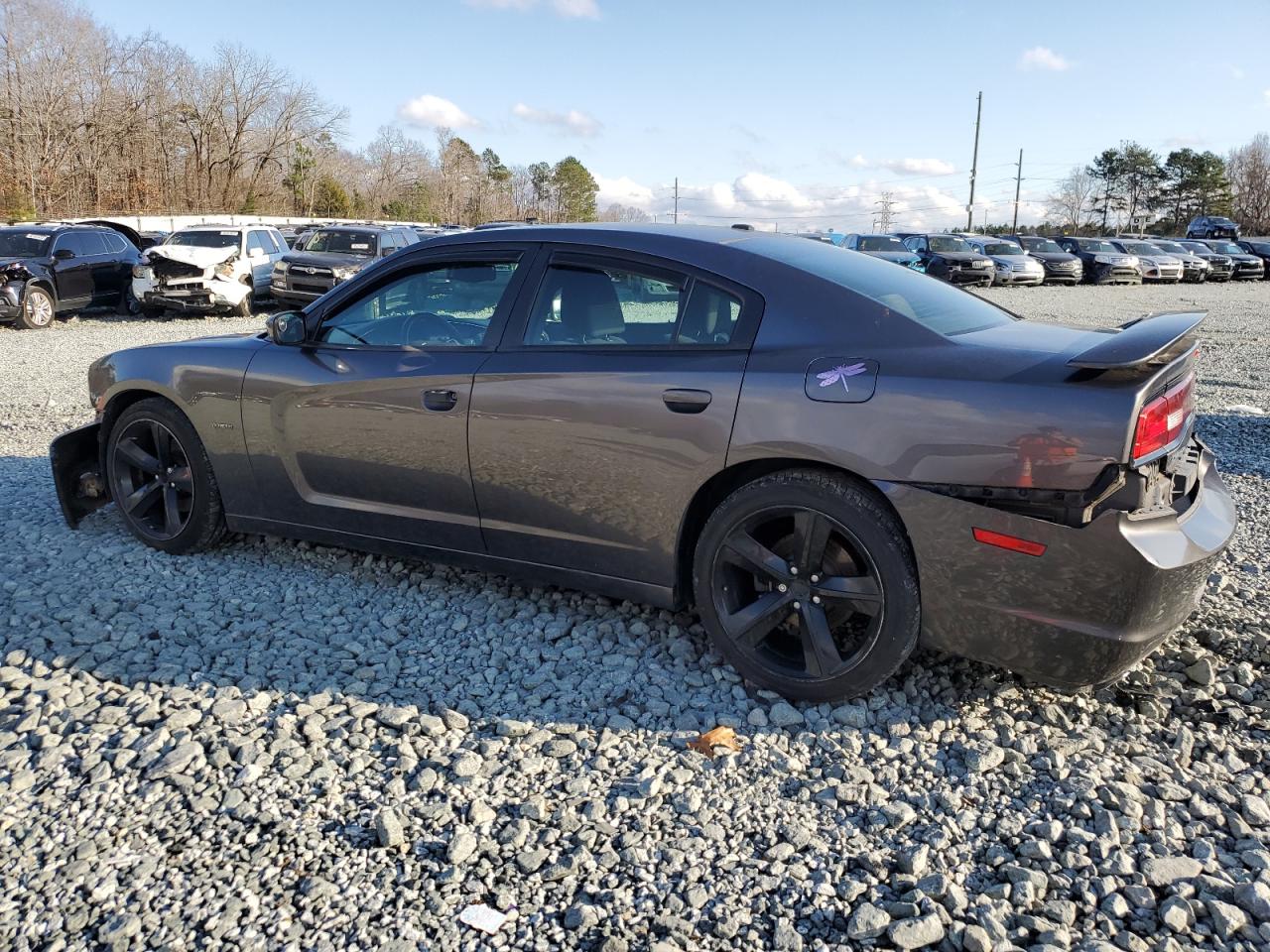 VIN 2C3CDXCTXEH349254 2014 DODGE CHARGER no.2