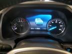2024 Ford Expedition Xlt na sprzedaż w Mercedes, TX - Vandalism