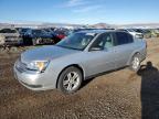 2005 Chevrolet Malibu Ls for Sale in Helena, MT - Front End