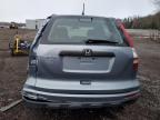 2010 HONDA CR-V LX for sale at Copart ON - COOKSTOWN