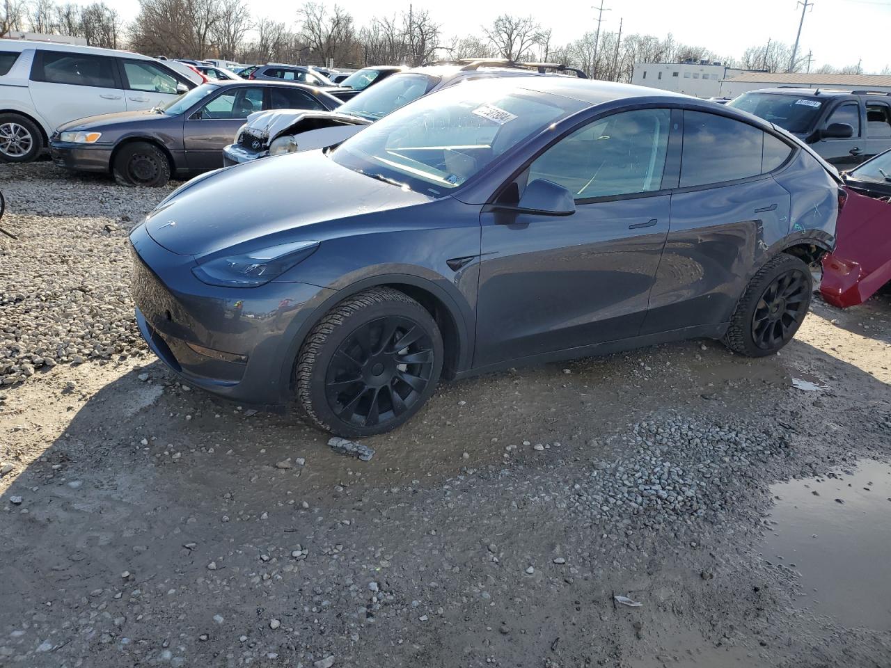 VIN 7SAYGAEE8PF777033 2023 TESLA MODEL Y no.1