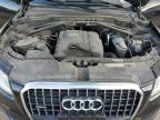 2014 Audi Q5 Premium Plus de vânzare în Albuquerque, NM - Rear End