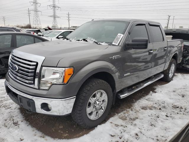  FORD F-150 2012 Сірий