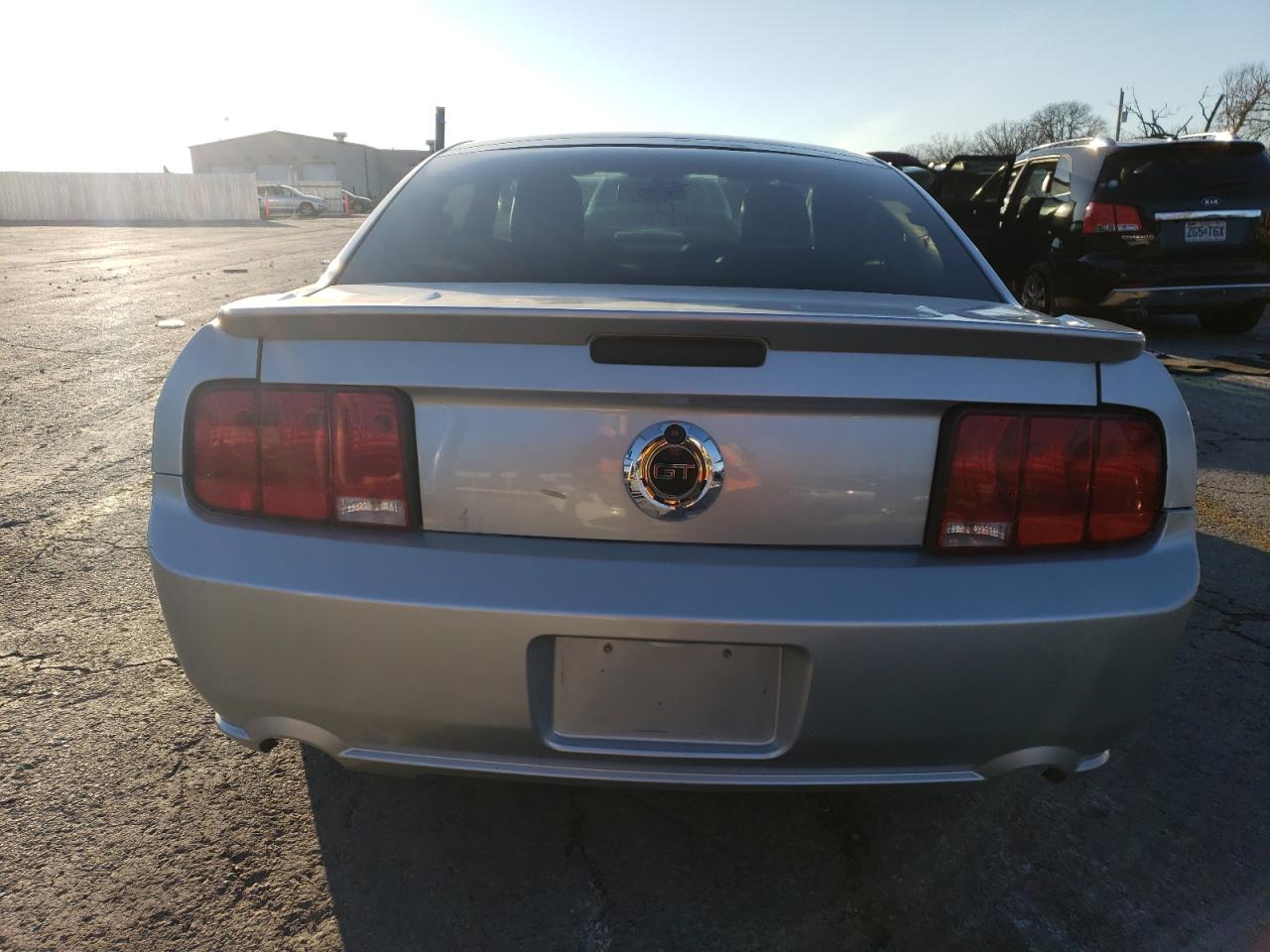 2009 Ford Mustang Gt VIN: 1ZVHT82H495123809 Lot: 85420694