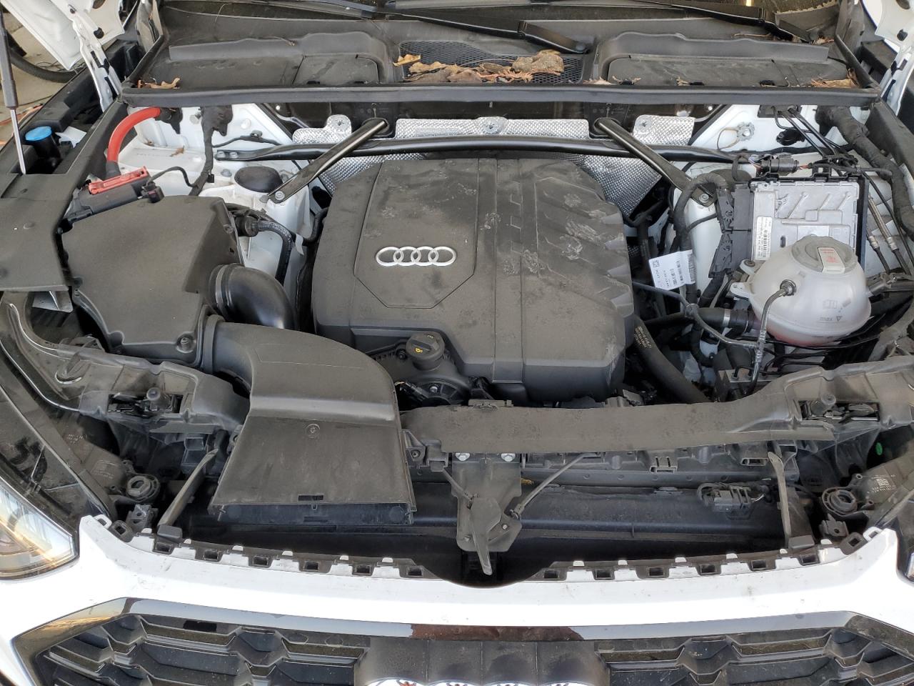 2023 Audi Q5 - Image 12