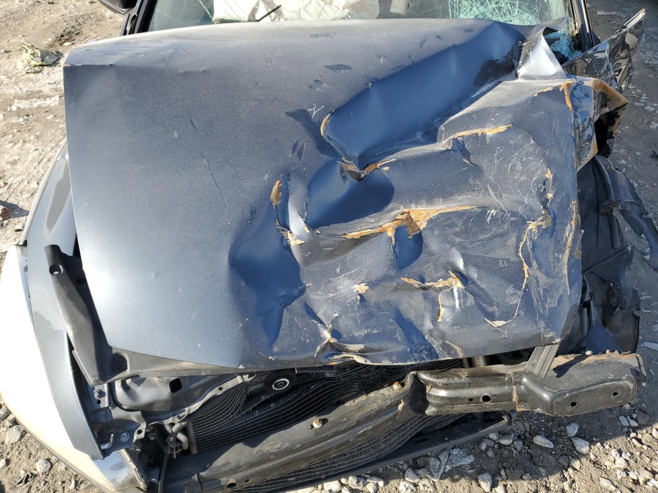 2006 Honda Accord Lx VIN: JHMCM56426C001035 Lot: 57417765