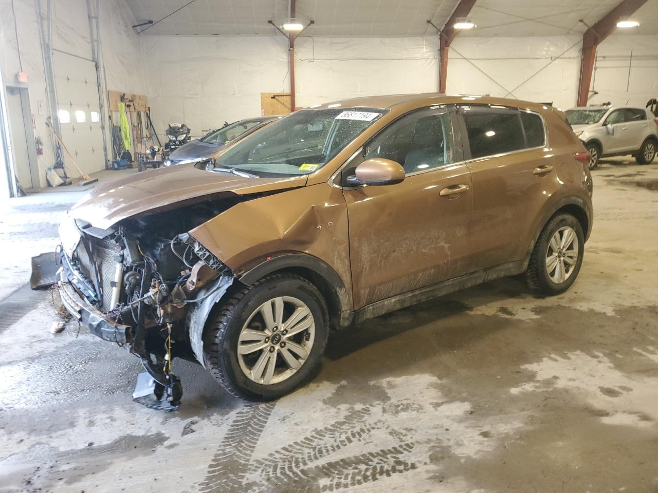 KNDPMCAC0H7296752 KIA SPORTAGE 2017