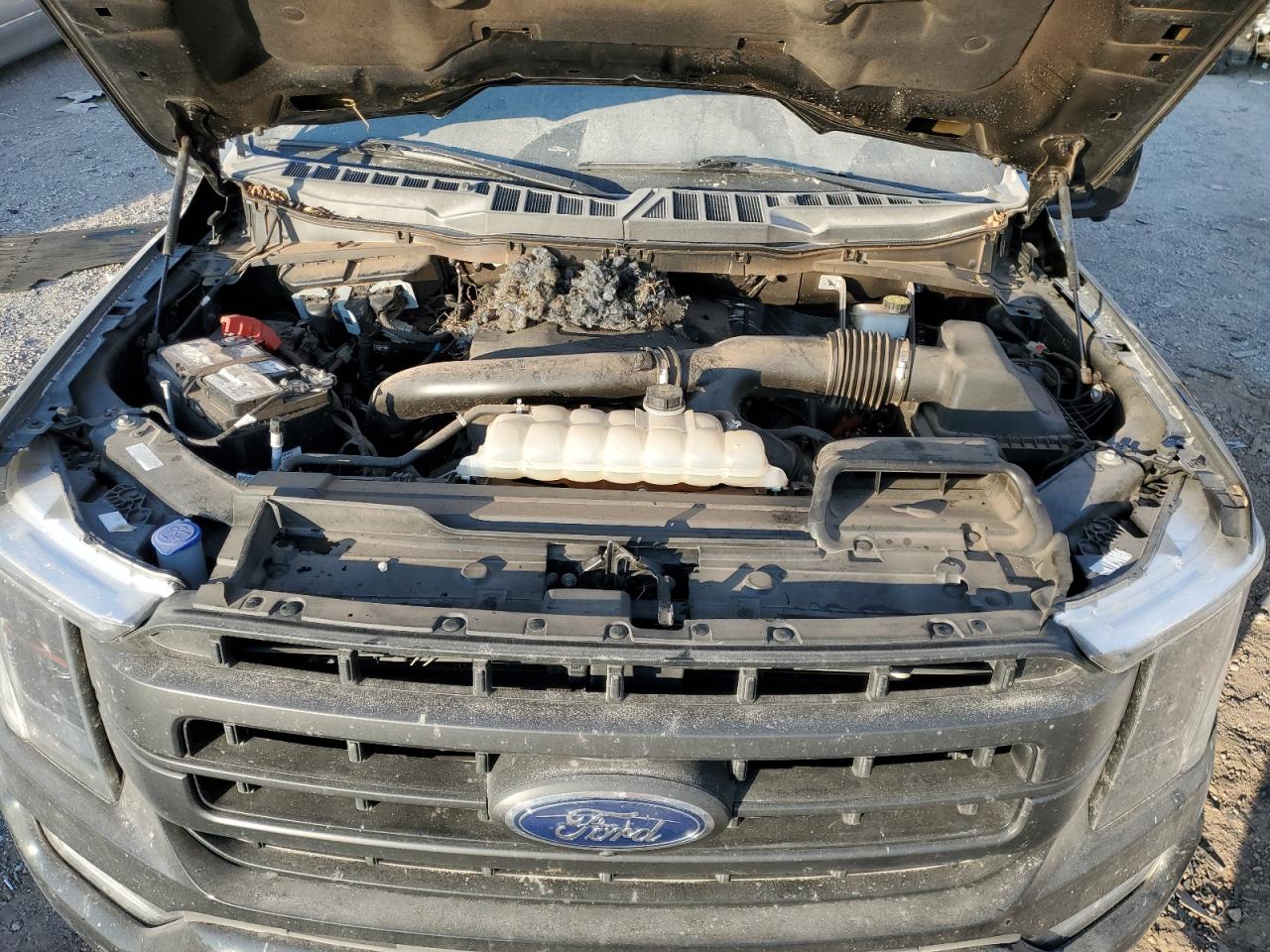 2023 Ford F-150 - Image 13