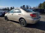 2006 Toyota Corolla Ce zu verkaufen in Finksburg, MD - Front End